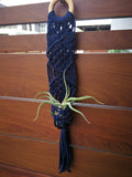 Airplant Night Bed Macrame Planter