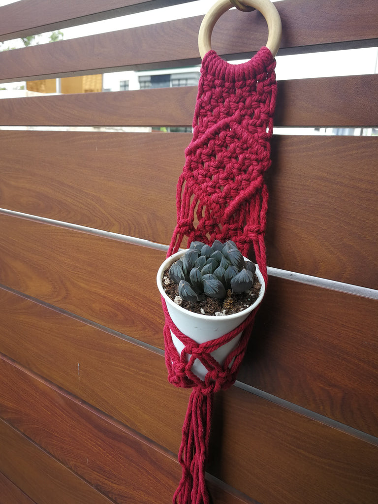 Petite Macrame Planter