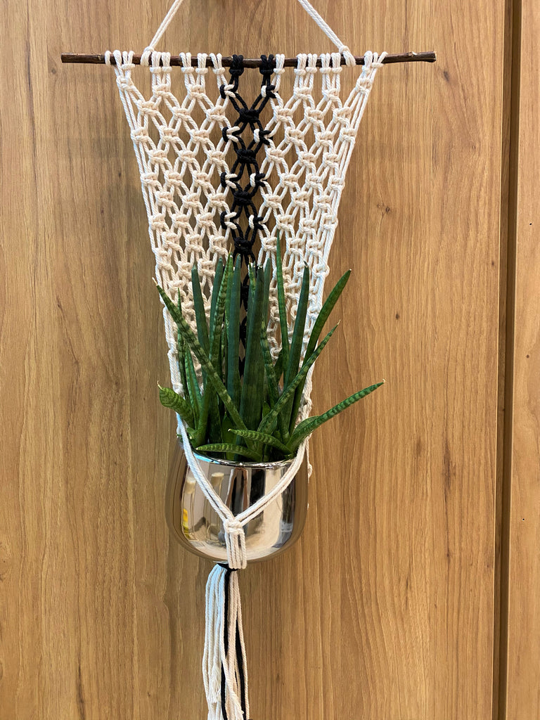 Classic Macrame Planter