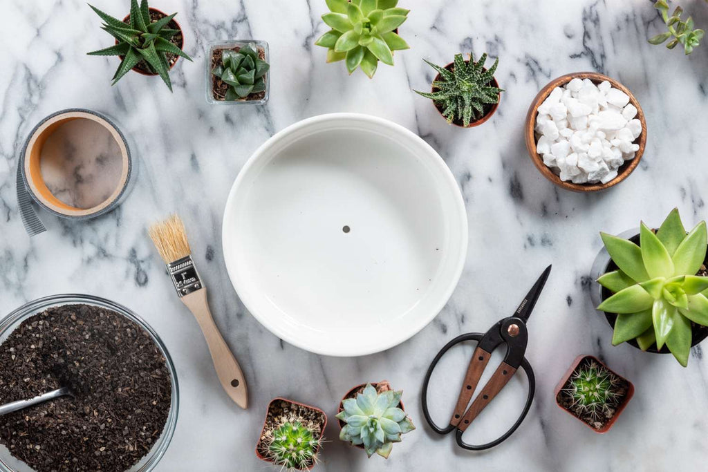 Succulent Gardening DIY Set 多肉植物组盆材料包