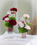 Fresh Carnation Posie Arrangement
