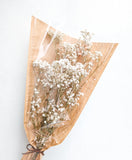 Dry Baby Breath Flower