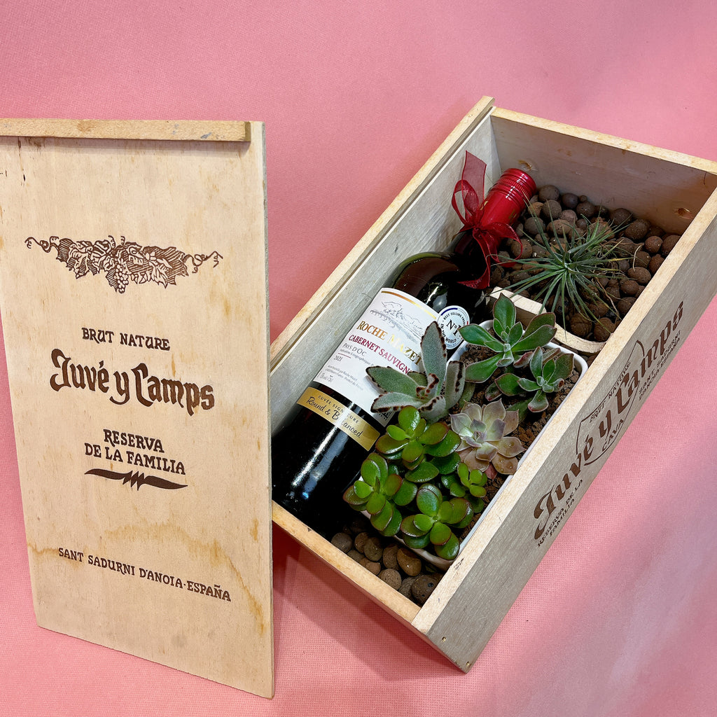 Succulent Plant Wine Gift Set (with Real Plants)