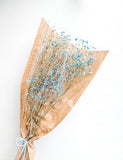 Dry Baby Breath Flower