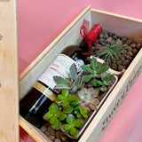 Succulent Plant Wine Gift Set (with Real Plants)