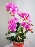 Bundles of Joy Artificial Phalaenopsis Orchids Arrangement