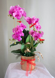 Bundles of Joy Artificial Phalaenopsis Orchids Arrangement