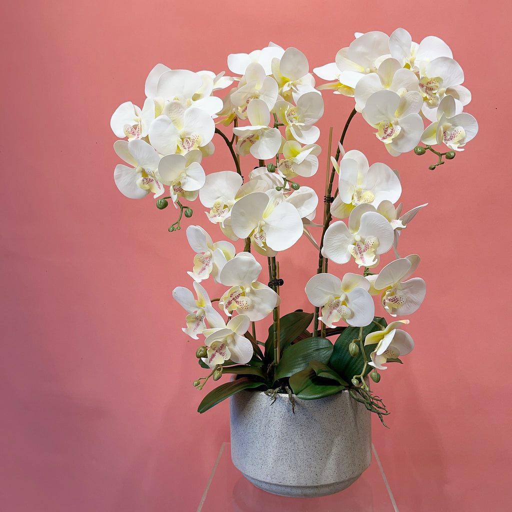 Artificial Phalaenopsis Orchids Arrangement