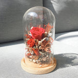Only Love Premium Preserved Flower Dome (Red, Pink, Blue, White, Purple)