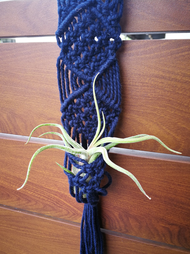 Airplant Night Bed Macrame Planter