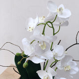 Artificial Classic Phalaenopsis Orchids