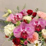 Premium Phalaenopsis Orchids Flower Box