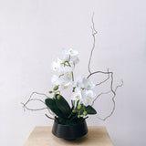 Artificial Classic Phalaenopsis Orchids
